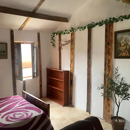 Rural Lo Marques Country house *