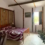 Rural Piscina Privada カントリーハウス オリウエラ